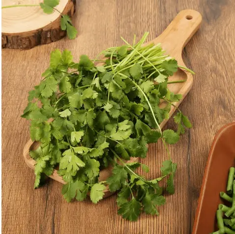 Coriander (Without Roots) (Dhaniya)