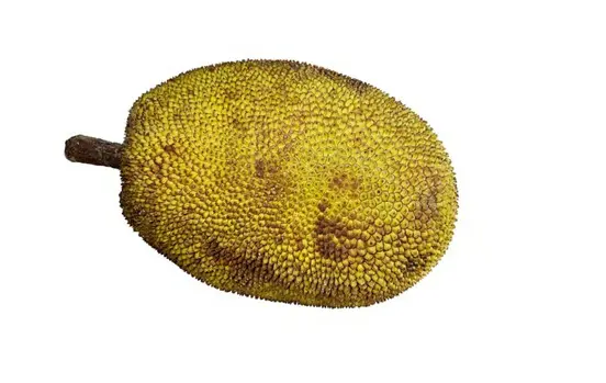 Raw Jackfruit (Kathal)