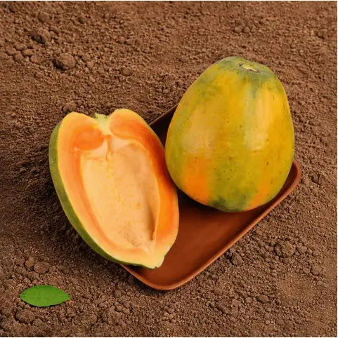 Papaya (Papita)