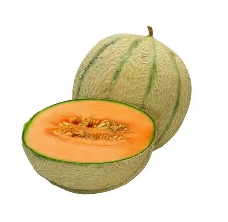 Striped Muskmelon (Kharbuna)